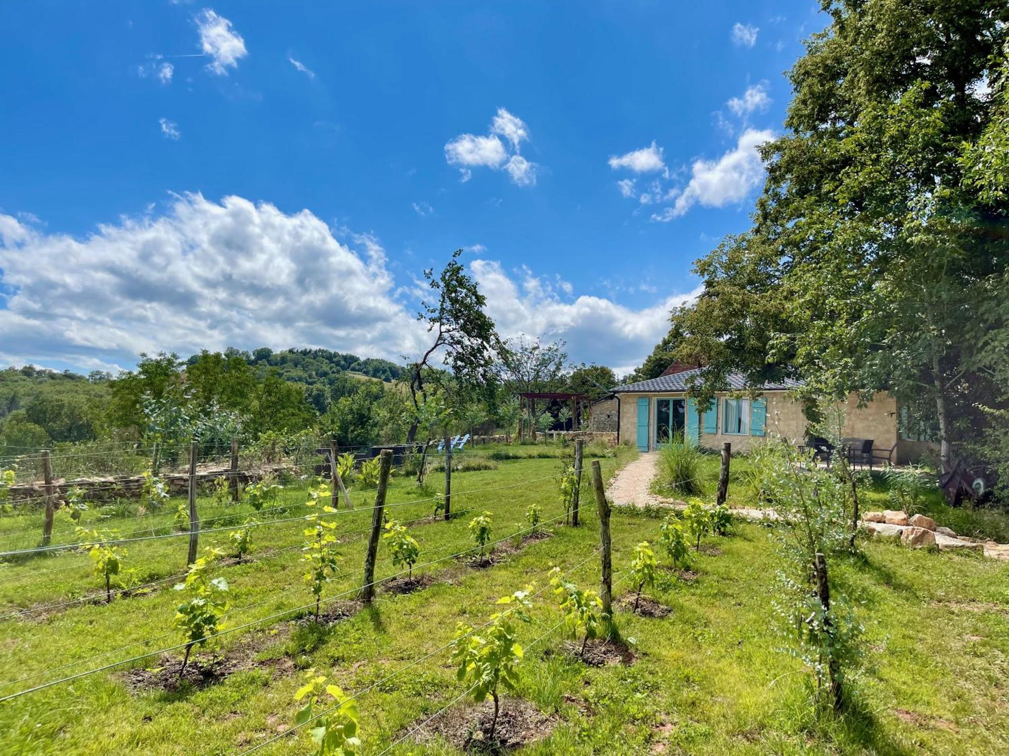 La Belle Petite Ferme Rosiers De Julliac 19350 Villa Le Bos Luaran gambar